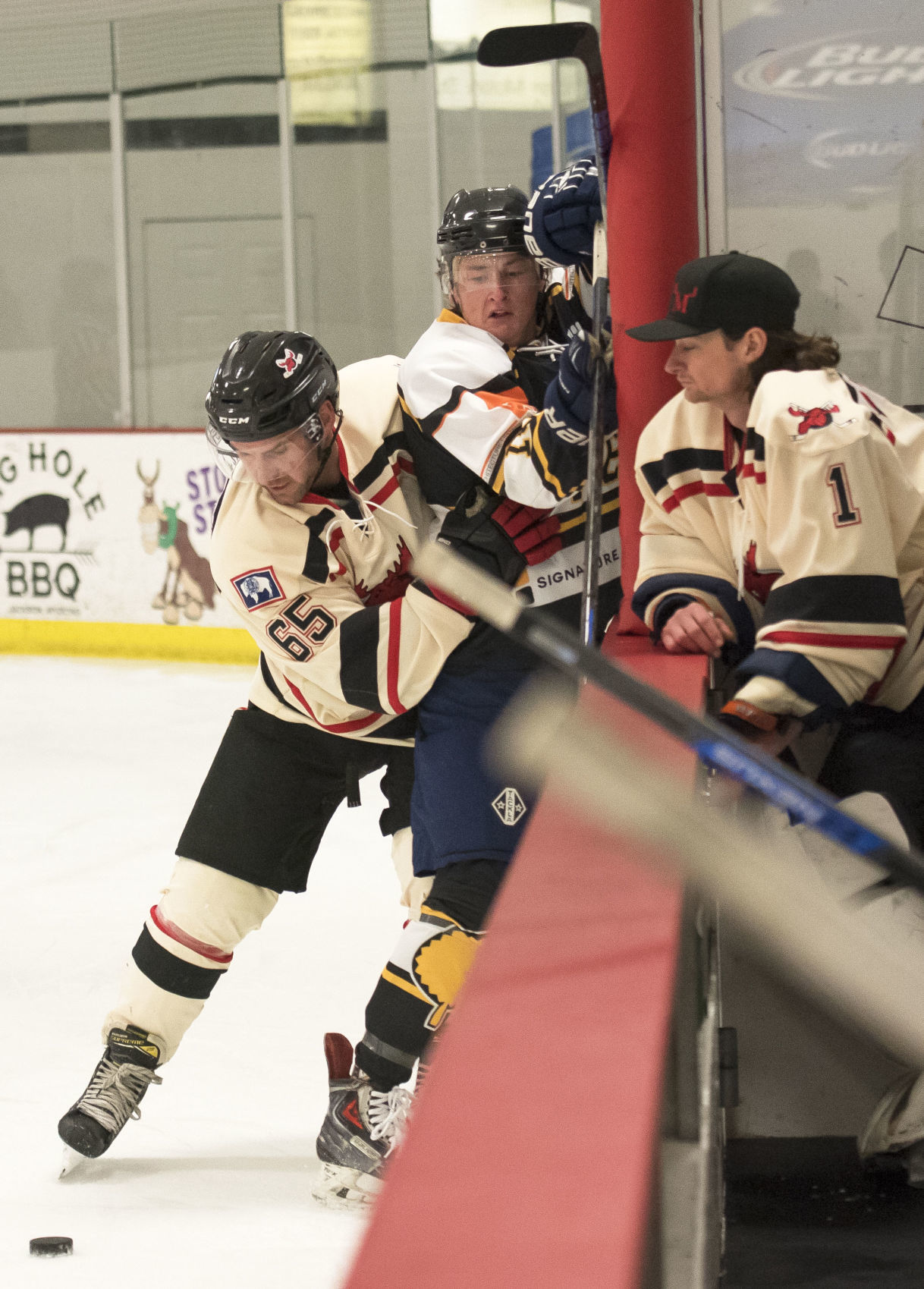 Moose hockey